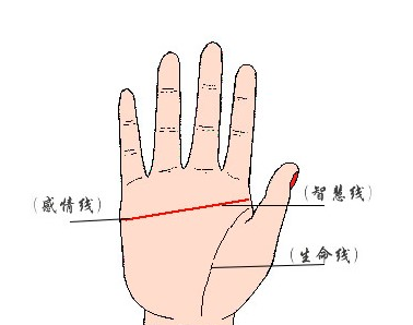 女人断掌
