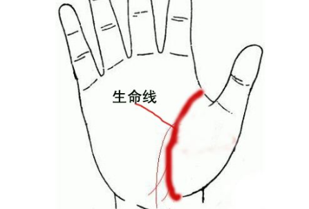 男人看手相