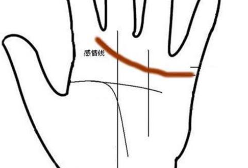 感情线长