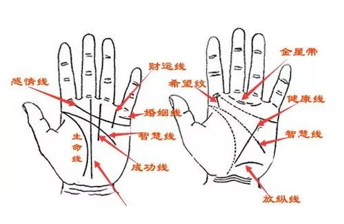 男人左手手相各种解析