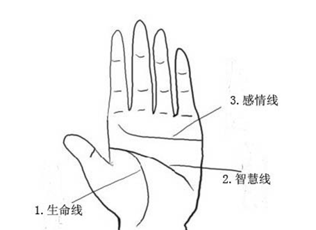 手相智慧线