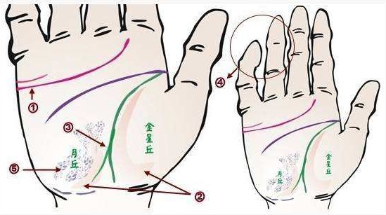 手相生命线图解分叉图片