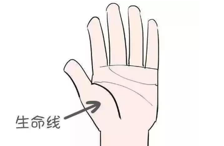生命线看左手还是右手
