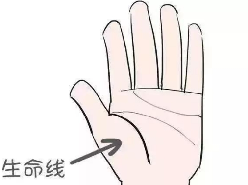 生命线短寿命短太准了