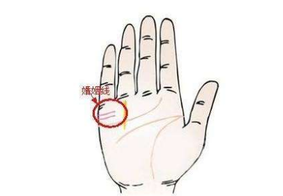 ƻô