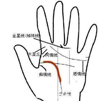 掌纹交叉