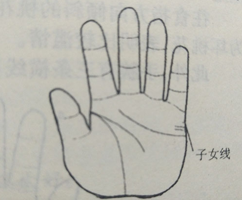 儿子线