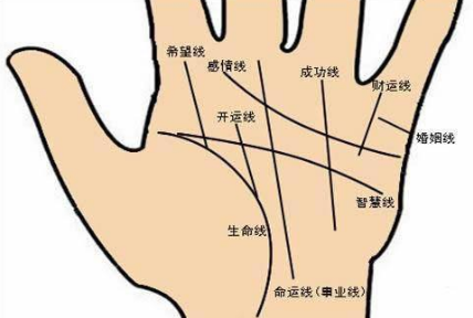 怎么看有没有财运