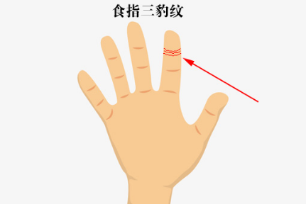 手相钱财