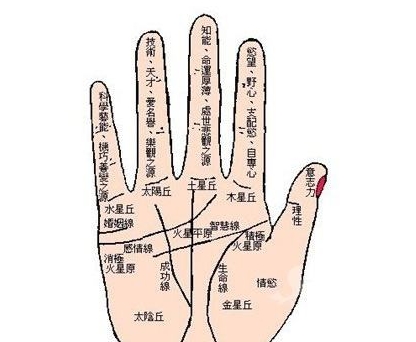手相图解大全