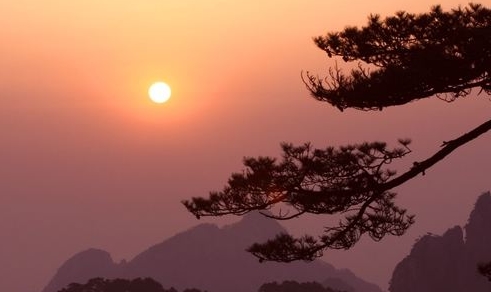 痣相主管格
