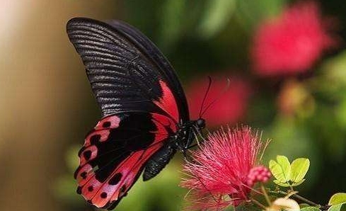 ����ü���ƺܶ�ò�����