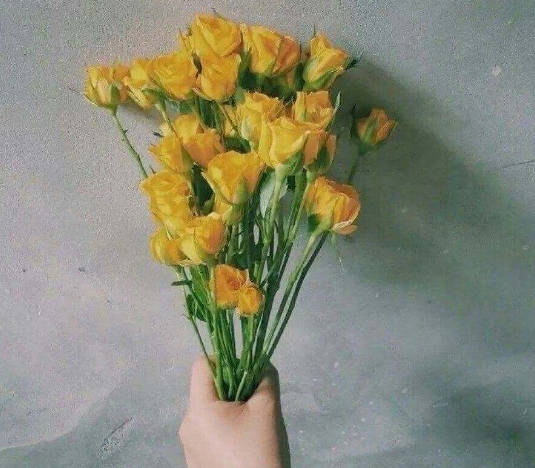 手相的软件