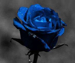 С�������� �������������������׳�Ϊ������