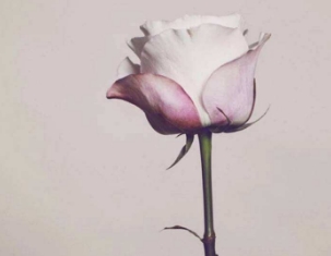  Ӳӿһ˺û