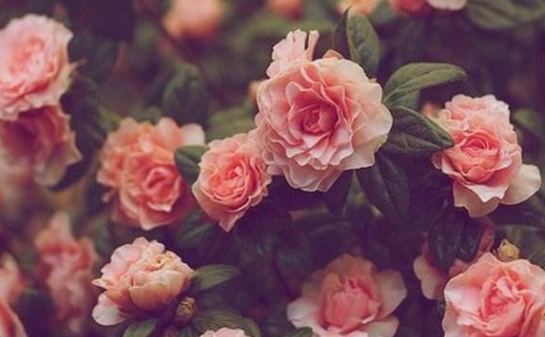 �����ʦ���촽����������� ��������