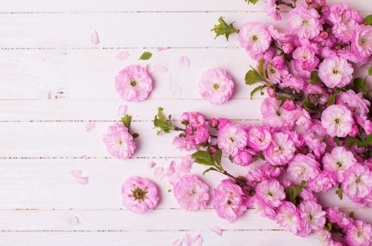 С�۾�������������ô����