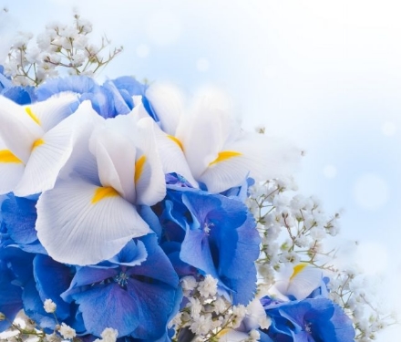 ����ļ��ּұ����࣬������