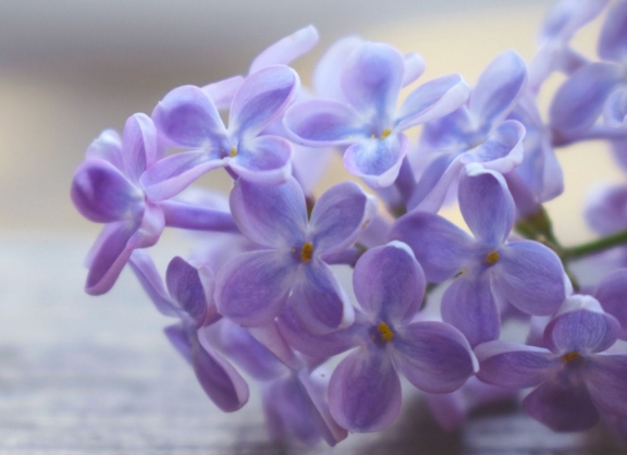 ����������������Σ�