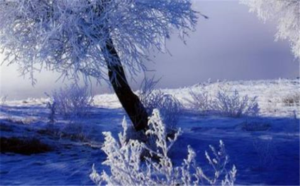 �����һ����࣬�һ����ر��