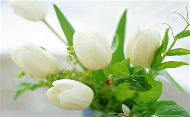 �������һ����࣬�һ��˷��ĵ���