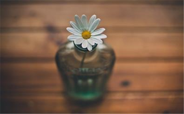 ���࿴���飬�������Ʒǳ��Ĳ��ȶ�