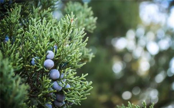 ������ѧ�У���ôͨ�����࿴����