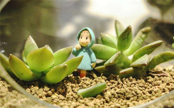 ͨ�����࿴������֪���Ʒ�չ���