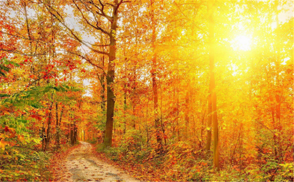 ����ѧ�У���ο�Ů���������