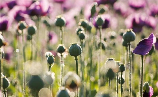 ��ʦ���߽������޸�������������