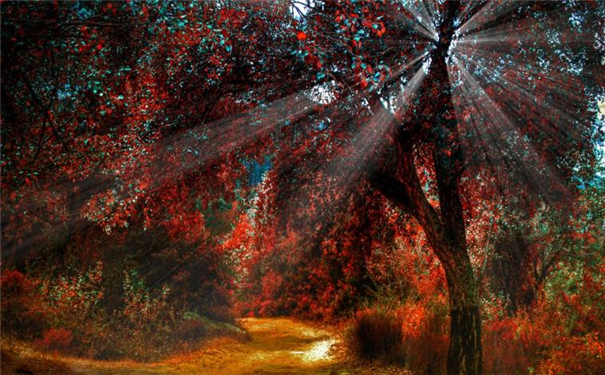 �޸�����֮�ˣ��������и�������