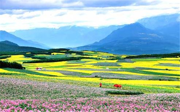 ���࿴�û�����������Ƶ�Ӱ��