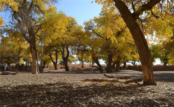 ͨ�����˱������࣬��������