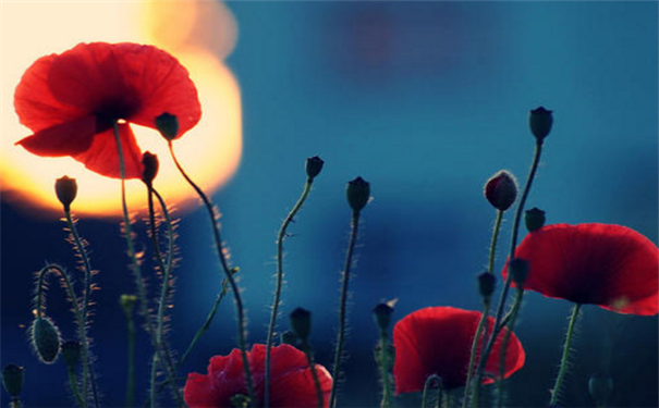 ���������࣬��������������һ���ܺõ�����