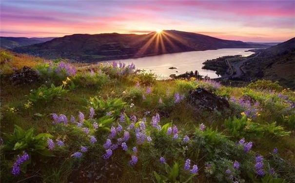 ȫ�����Ů�����������