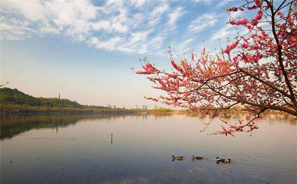 ���������࣬����������������