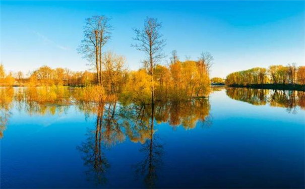 �����������������Ĳ��