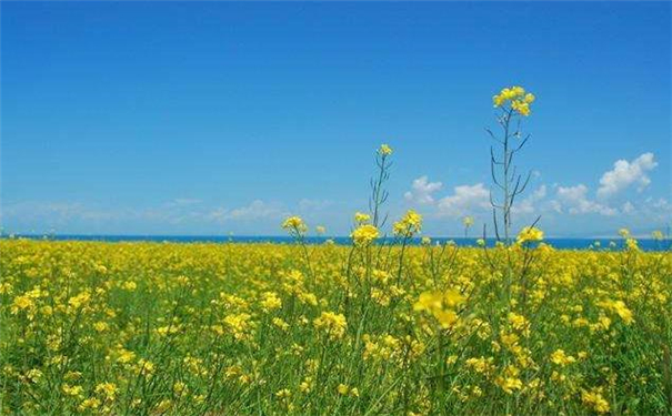 ȫ�����з������