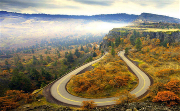 Ů������Բ����������