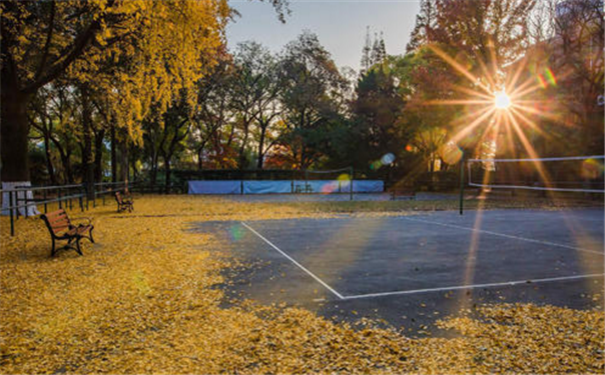 ���˸���������������