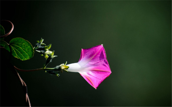 С��������������׼��