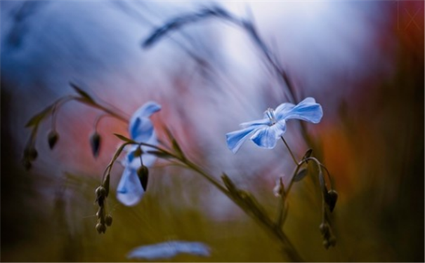 �����ŵ����࣬�޸��������Ҹ�����