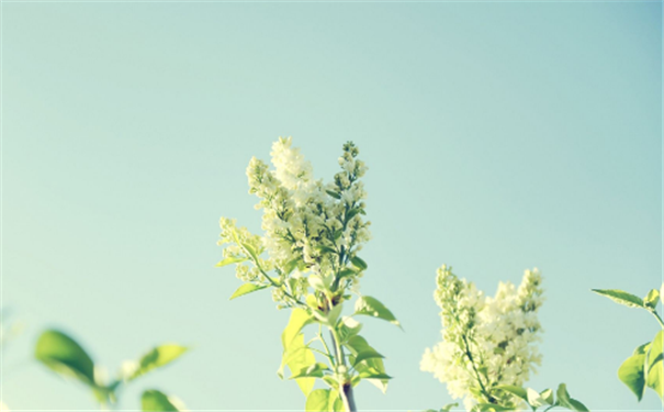 ����������������