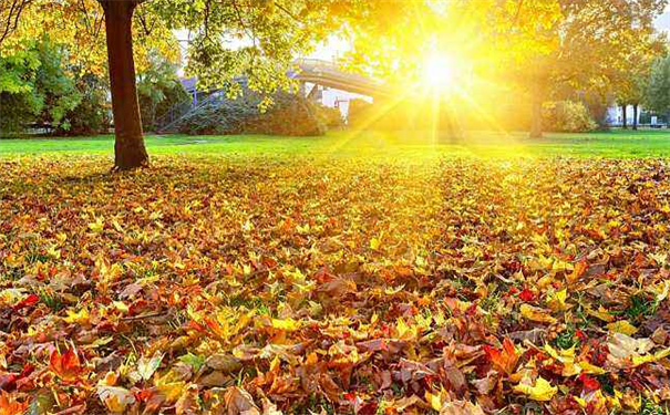 �����ϵ�����������