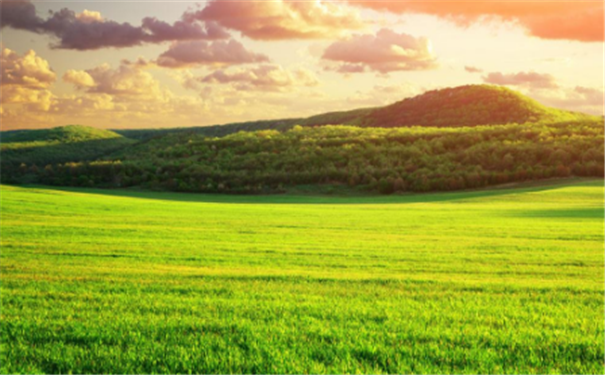 Ů�˱������������