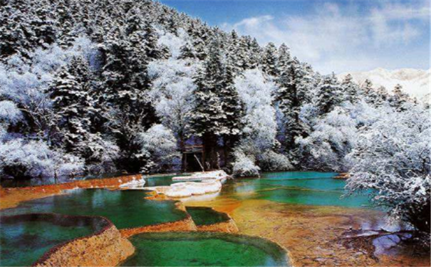 ������β����������