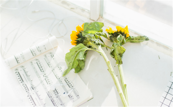 �������������۾����������ʾ