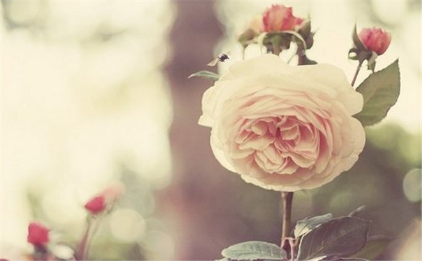 ��ʦ���߽�ѧ�����޹����࿴����