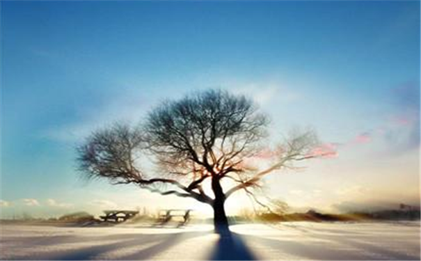 ����Ů�������������ʲô����