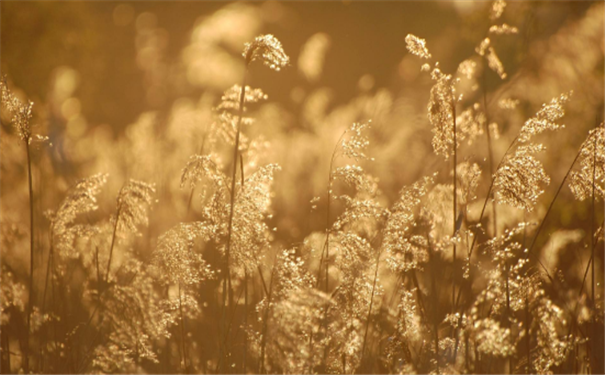 ������ô��һ�����ǲ���ӵ��ͯ��������